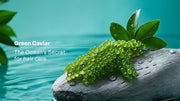 Green Caviar: The Ocean’s Secret Superfood for Radiant Hair