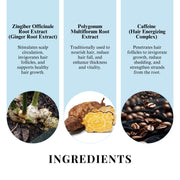 Hair Fall Control Leave-In Spray 100ml